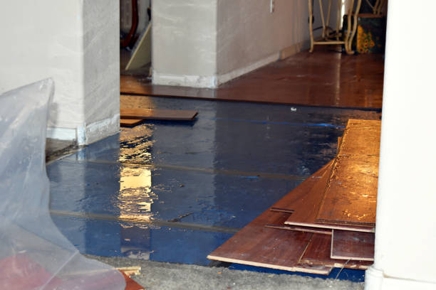 Professional Water Damage Restoration technician working in Hayden, CO